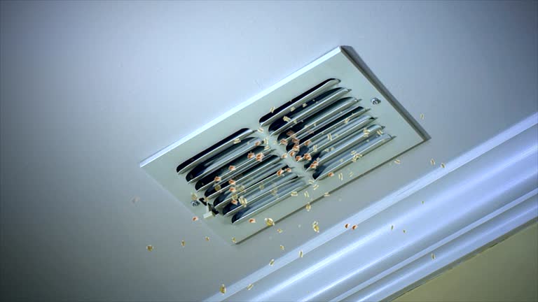 Home Air Vent Cleaning in Princeton, WI